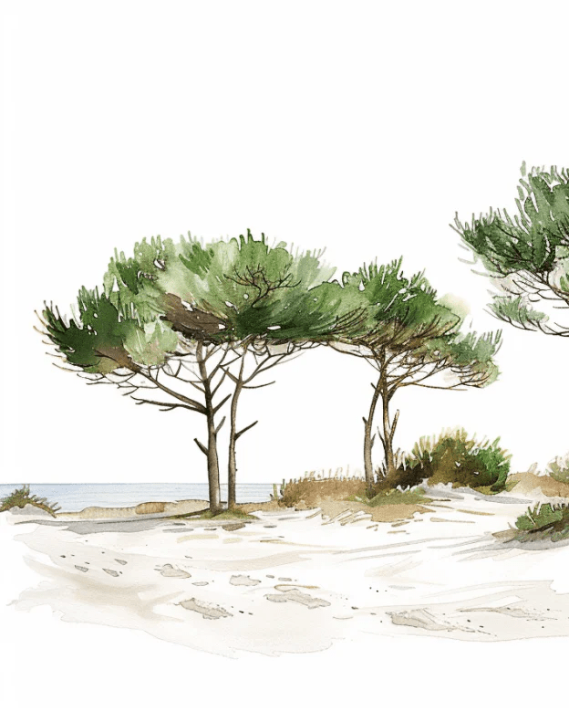 Les Pins de la Plage : Évasion Naturelle - Illulart: Papier peint panoramique