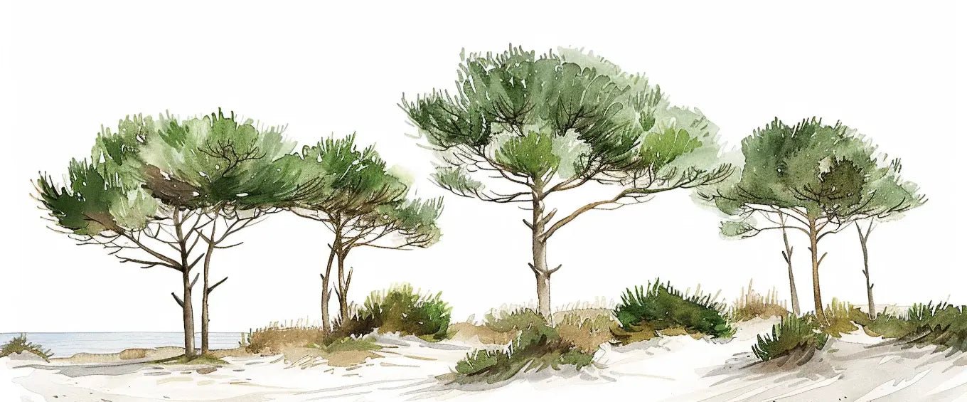 Les Pins de la Plage : Évasion Naturelle - Illulart: Papier peint panoramique