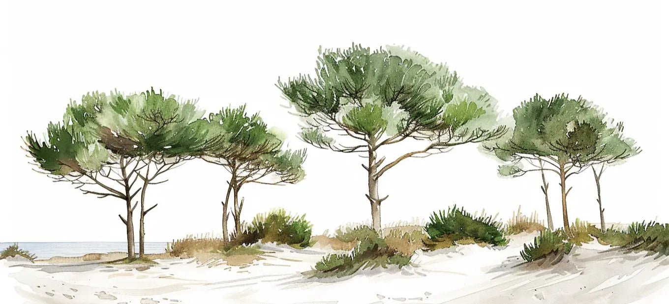 Les Pins de la Plage : Évasion Naturelle