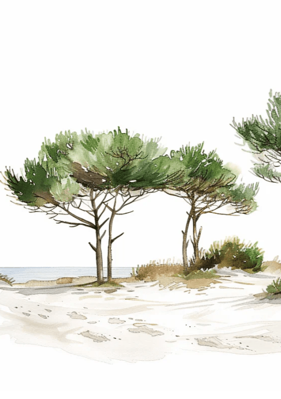 Les Pins de la Plage : Évasion Naturelle - Illulart: Papier peint panoramique