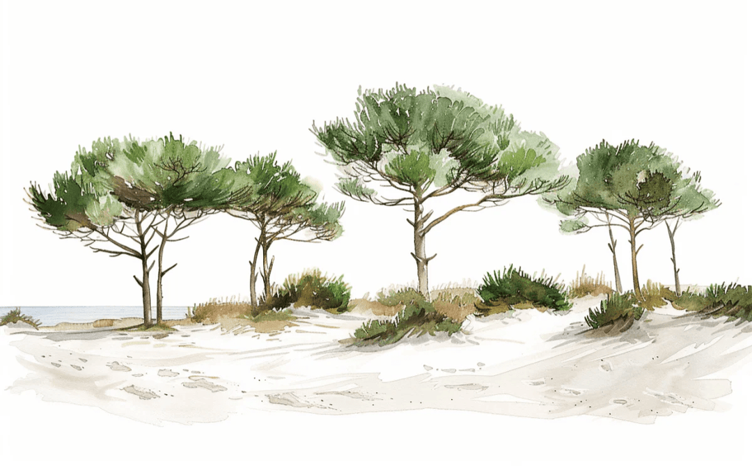 Les Pins de la Plage : Évasion Naturelle - Illulart: Papier peint panoramique