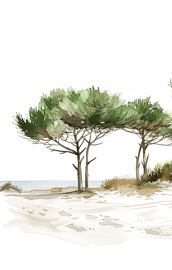 Les Pins de la Plage : Évasion Naturelle - Illulart: Papier peint panoramique