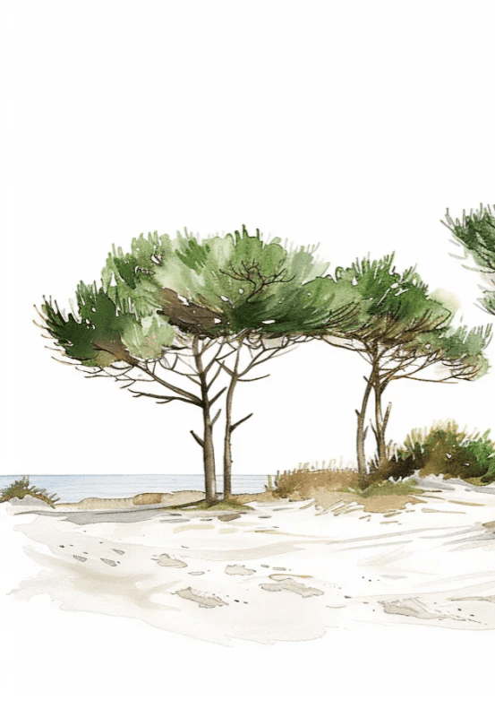 Les Pins de la Plage : Évasion Naturelle - Illulart: Papier peint panoramique