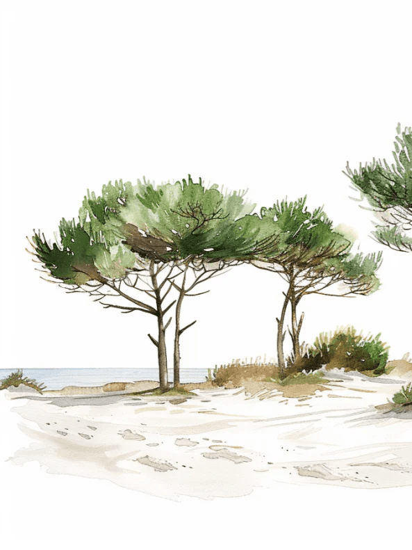 Les Pins de la Plage : Évasion Naturelle - Illulart: Papier peint panoramique