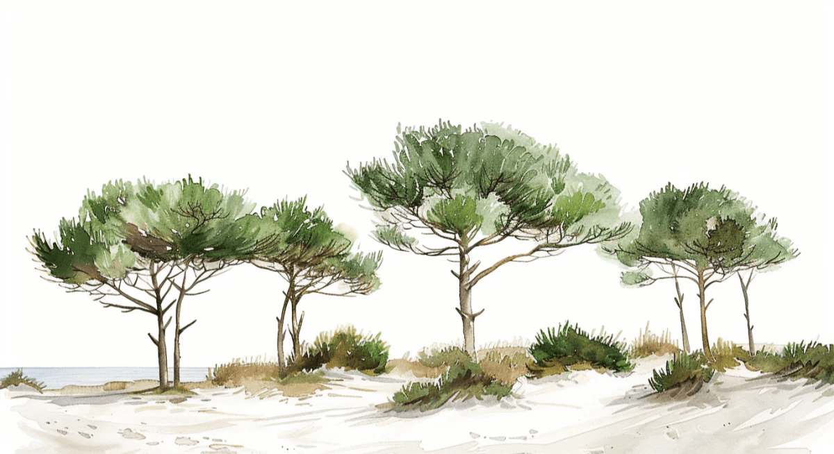 Les Pins de la Plage : Évasion Naturelle - Illulart: Papier peint panoramique