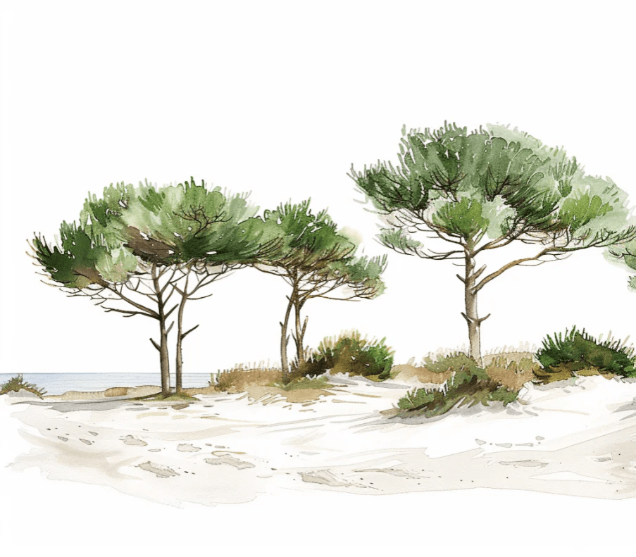 Les Pins de la Plage : Évasion Naturelle - Illulart: Papier peint panoramique