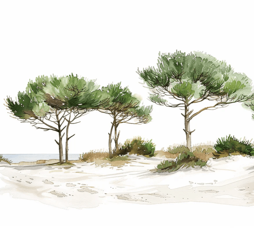 Les Pins de la Plage : Évasion Naturelle - Illulart: Papier peint panoramique