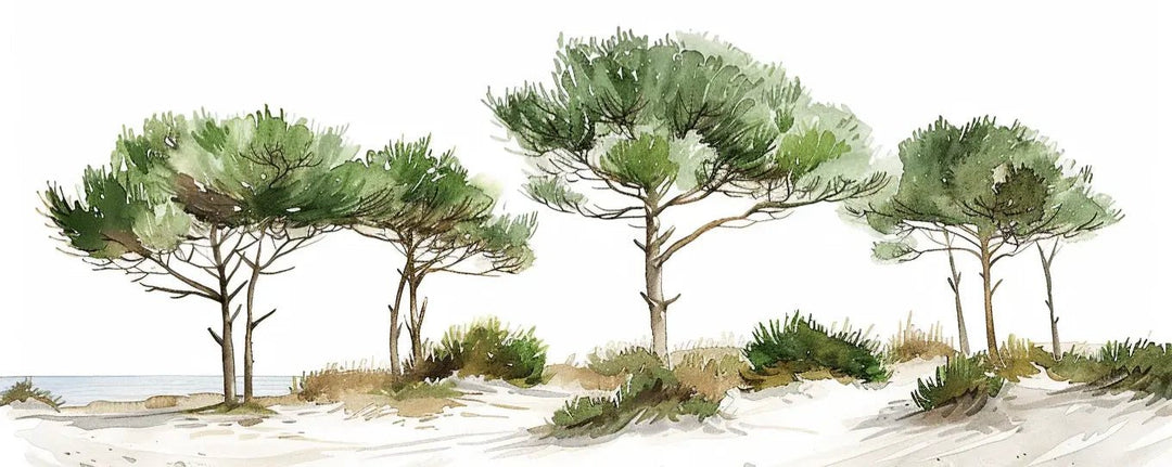 Les Pins de la Plage : Évasion Naturelle - Illulart: Papier peint panoramique