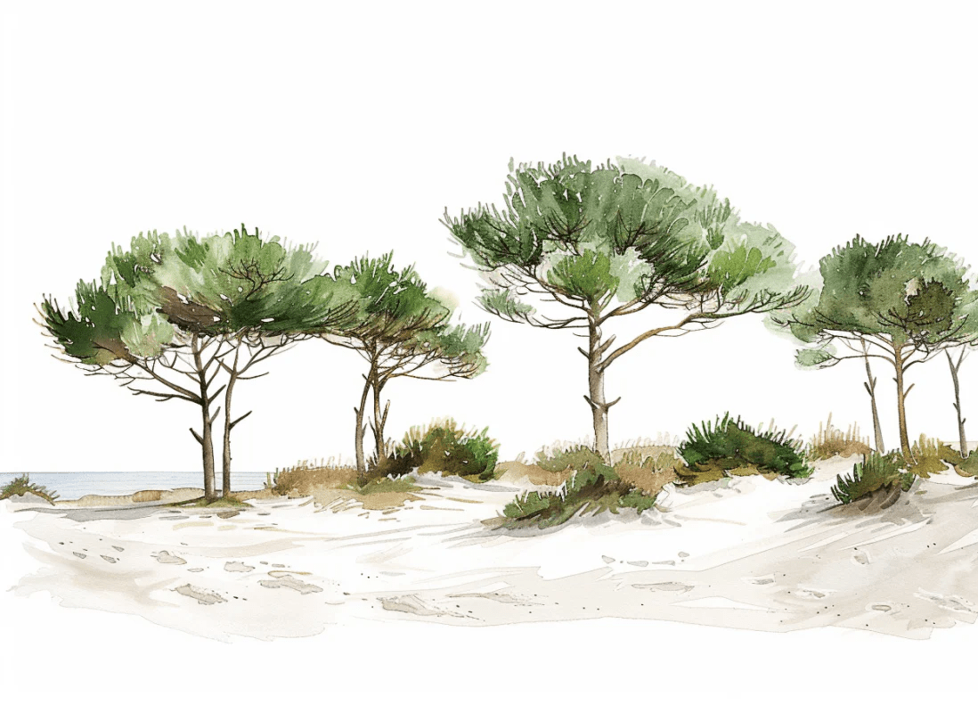 Les Pins de la Plage : Évasion Naturelle - Illulart: Papier peint panoramique