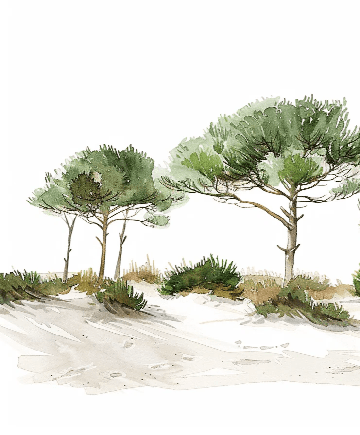 Les Pins de la Plage : Évasion Naturelle - Illulart: Papier peint panoramique