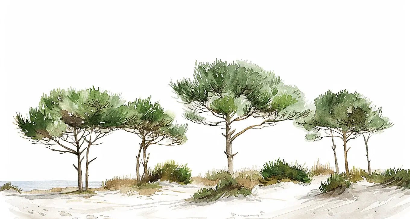 Les Pins de la Plage : Évasion Naturelle - Illulart: Papier peint panoramique