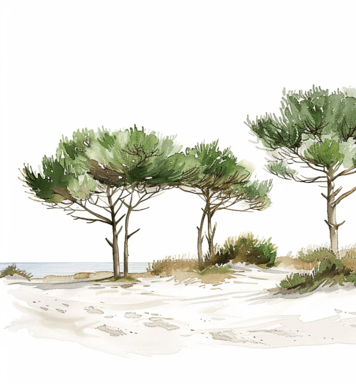 Les Pins de la Plage : Évasion Naturelle - Illulart: Papier peint panoramique