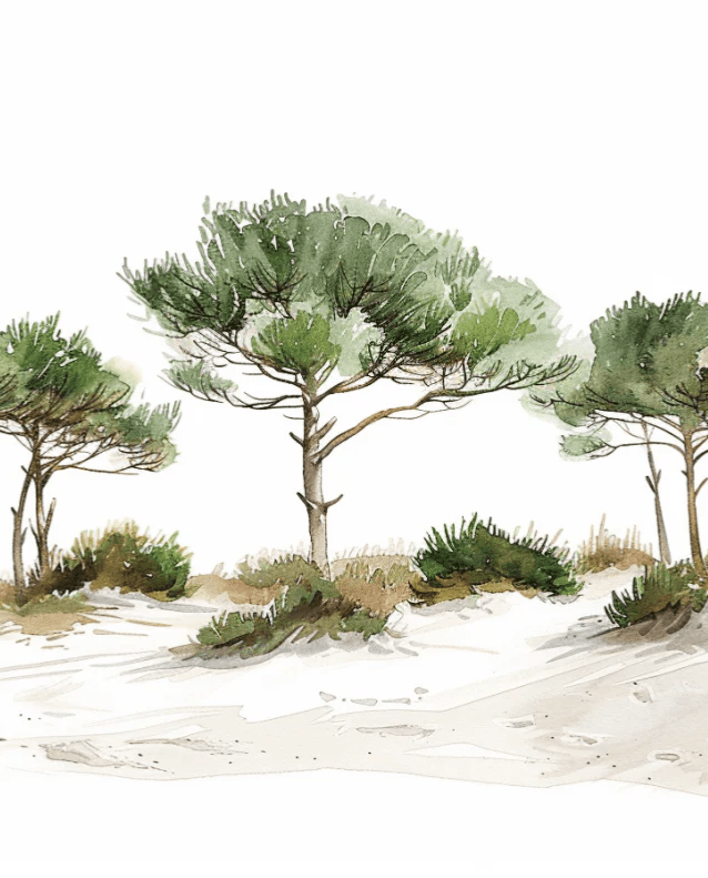 Les Pins de la Plage : Évasion Naturelle - Illulart: Papier peint panoramique