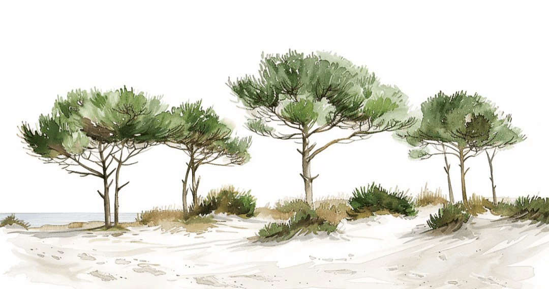 Les Pins de la Plage : Évasion Naturelle - Illulart: Papier peint panoramique