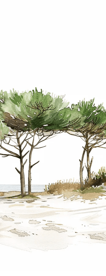 Les Pins de la Plage : Évasion Naturelle - Illulart: Papier peint panoramique