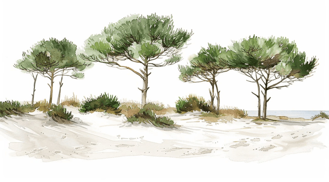 Les Pins de la Plage : Évasion Naturelle - Illulart: Papier peint panoramique