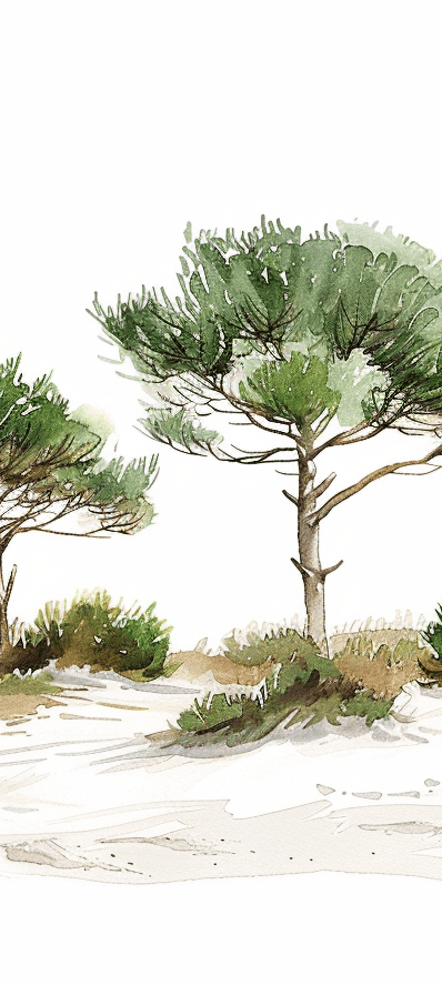 Les Pins de la Plage : Évasion Naturelle - Illulart: Papier peint panoramique