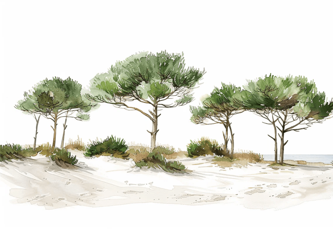 Les Pins de la Plage : Évasion Naturelle - Illulart: Papier peint panoramique