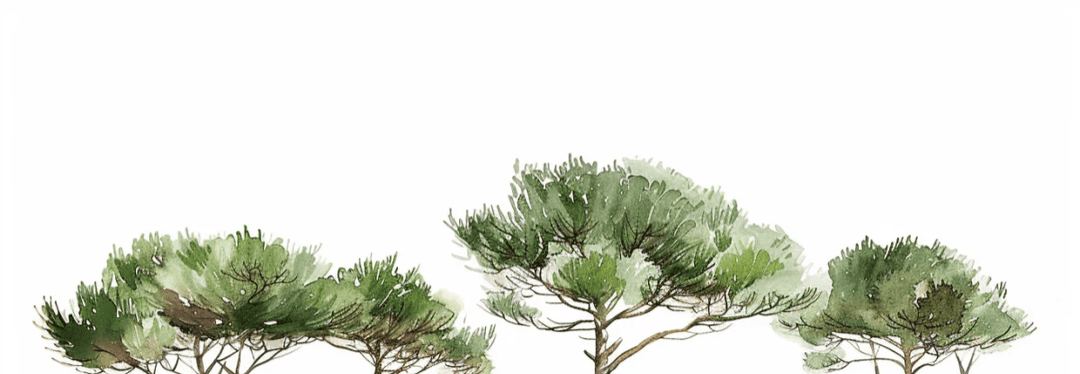 Les Pins de la Plage : Évasion Naturelle - Illulart: Papier peint panoramique