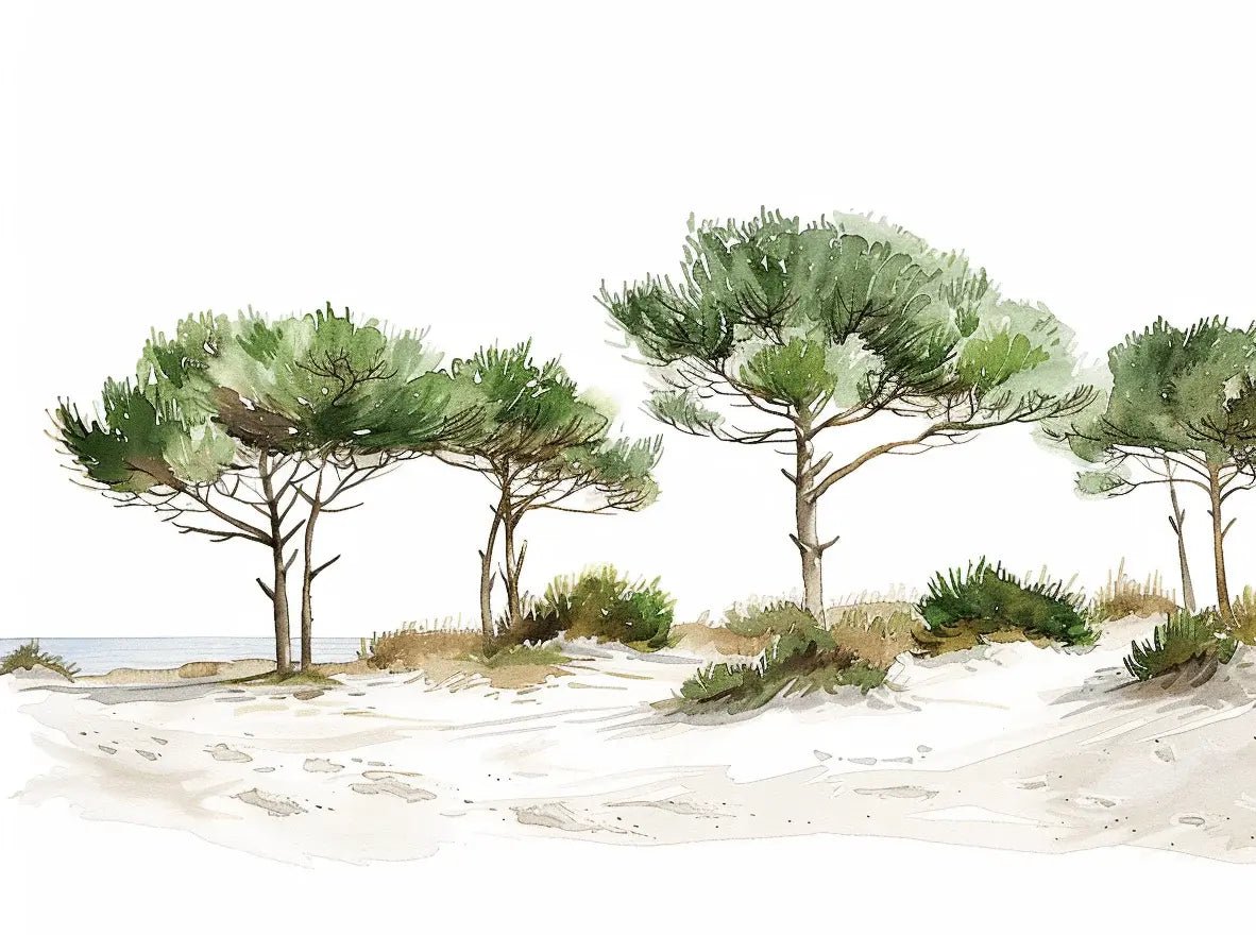 Les Pins de la Plage : Évasion Naturelle