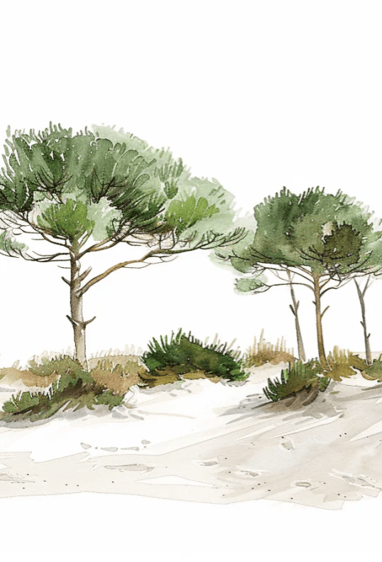 Les Pins de la Plage : Évasion Naturelle - Illulart: Papier peint panoramique