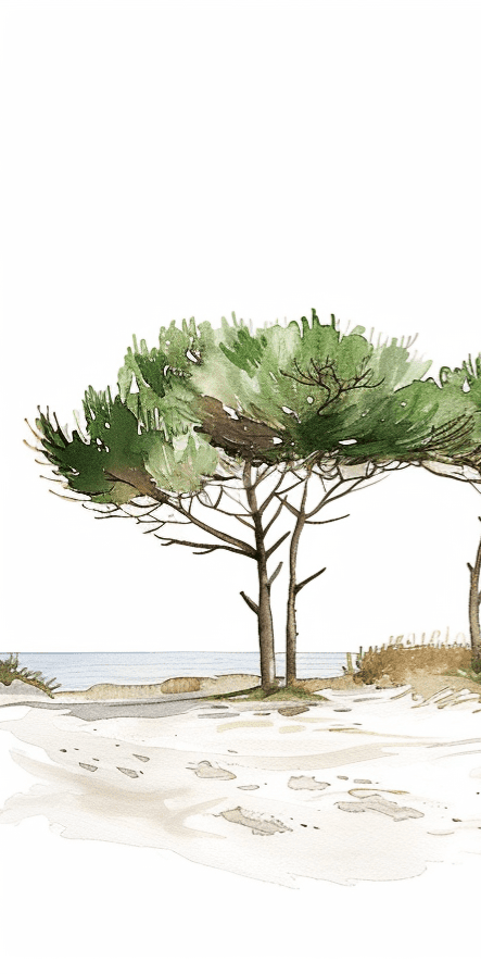 Les Pins de la Plage : Évasion Naturelle
