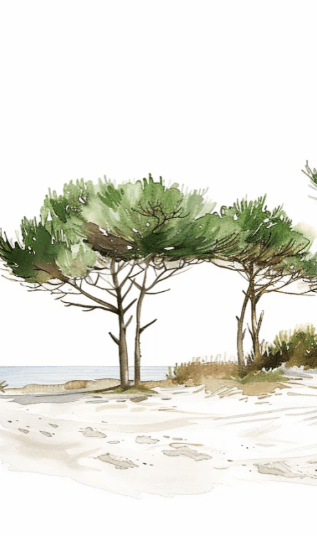 Les Pins de la Plage : Évasion Naturelle - Illulart: Papier peint panoramique