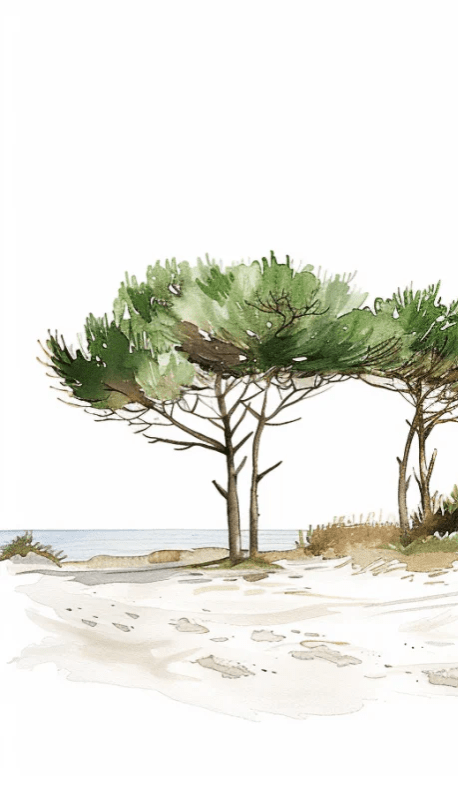 Les Pins de la Plage : Évasion Naturelle - Illulart: Papier peint panoramique