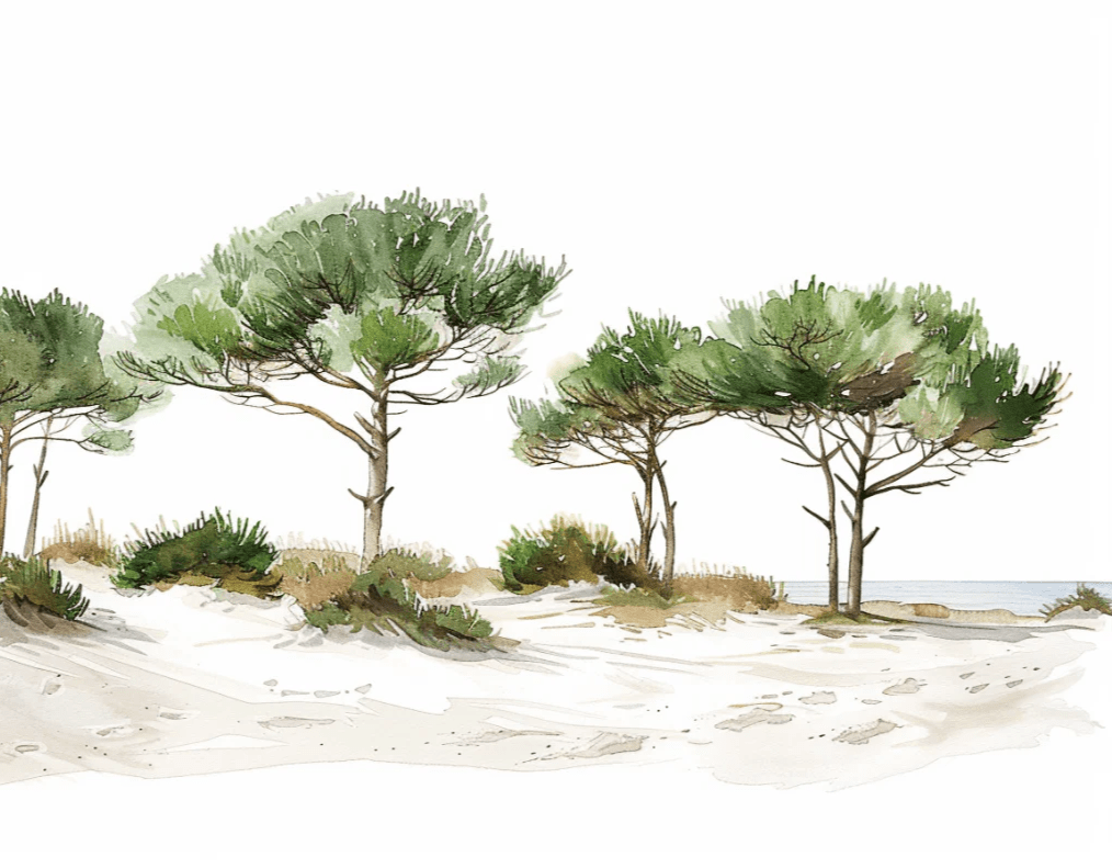 Les Pins de la Plage : Évasion Naturelle - Illulart: Papier peint panoramique