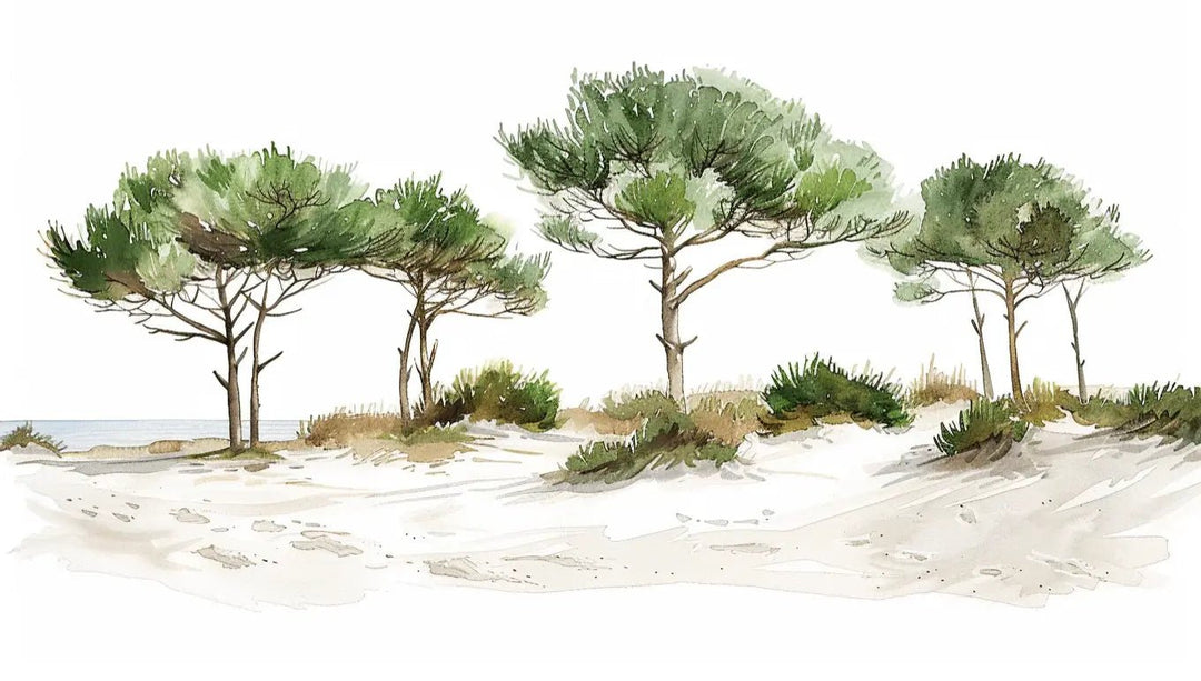 Les Pins de la Plage : Évasion Naturelle - Illulart: Papier peint panoramique