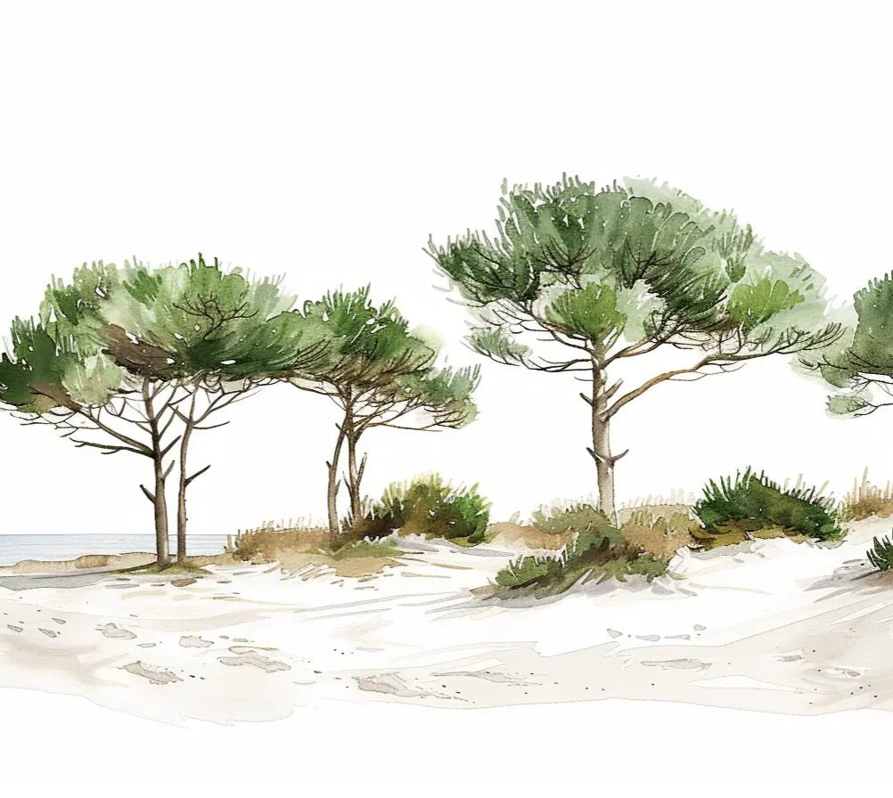 Les Pins de la Plage : Évasion Naturelle - Illulart: Papier peint panoramique