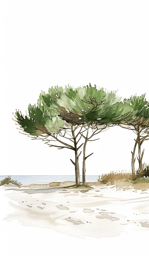 Les Pins de la Plage : Évasion Naturelle - Illulart: Papier peint panoramique