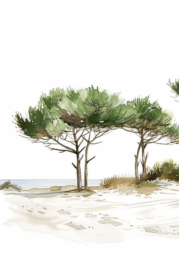 Les Pins de la Plage : Évasion Naturelle - Illulart: Papier peint panoramique