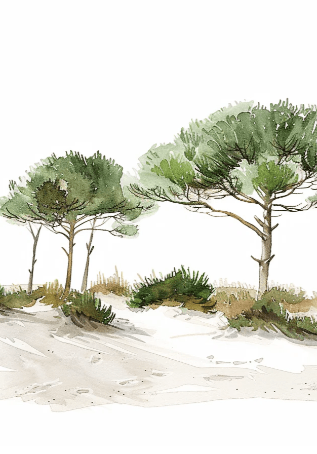 Les Pins de la Plage : Évasion Naturelle - Illulart: Papier peint panoramique