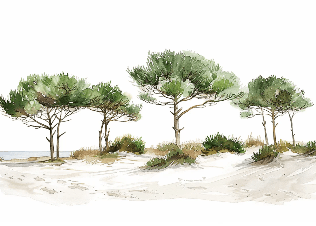 Les Pins de la Plage : Évasion Naturelle - Illulart: Papier peint panoramique