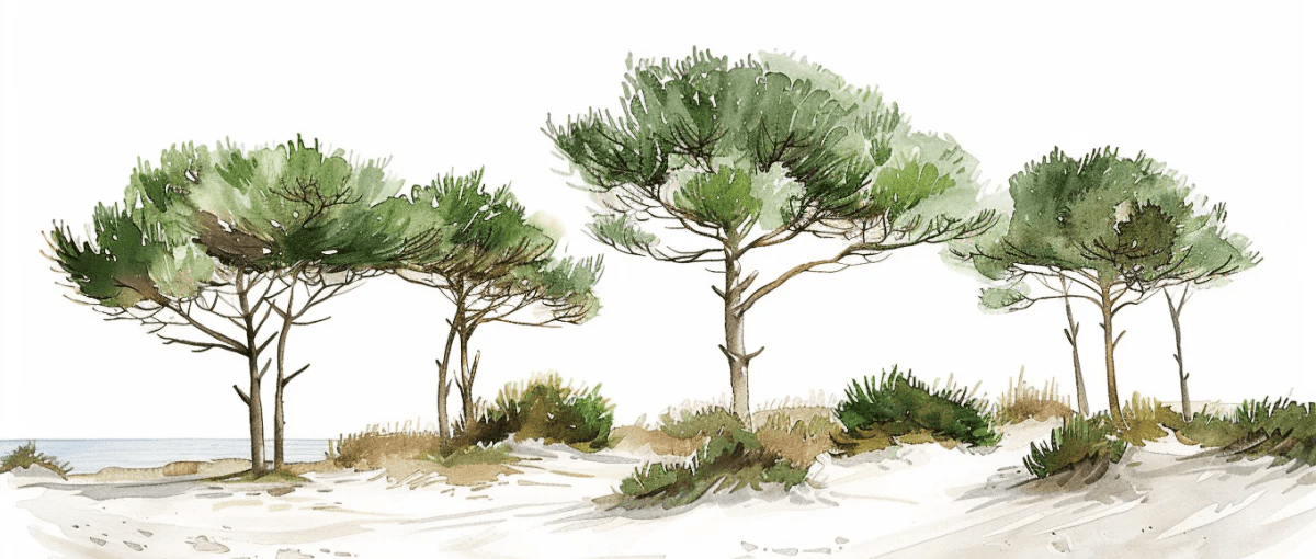 Les Pins de la Plage : Évasion Naturelle - Illulart: Papier peint panoramique