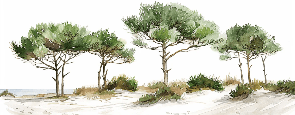 Les Pins de la Plage : Évasion Naturelle - Illulart: Papier peint panoramique
