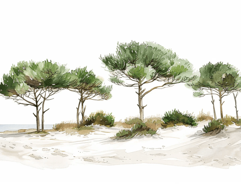 Les Pins de la Plage : Évasion Naturelle - Illulart: Papier peint panoramique