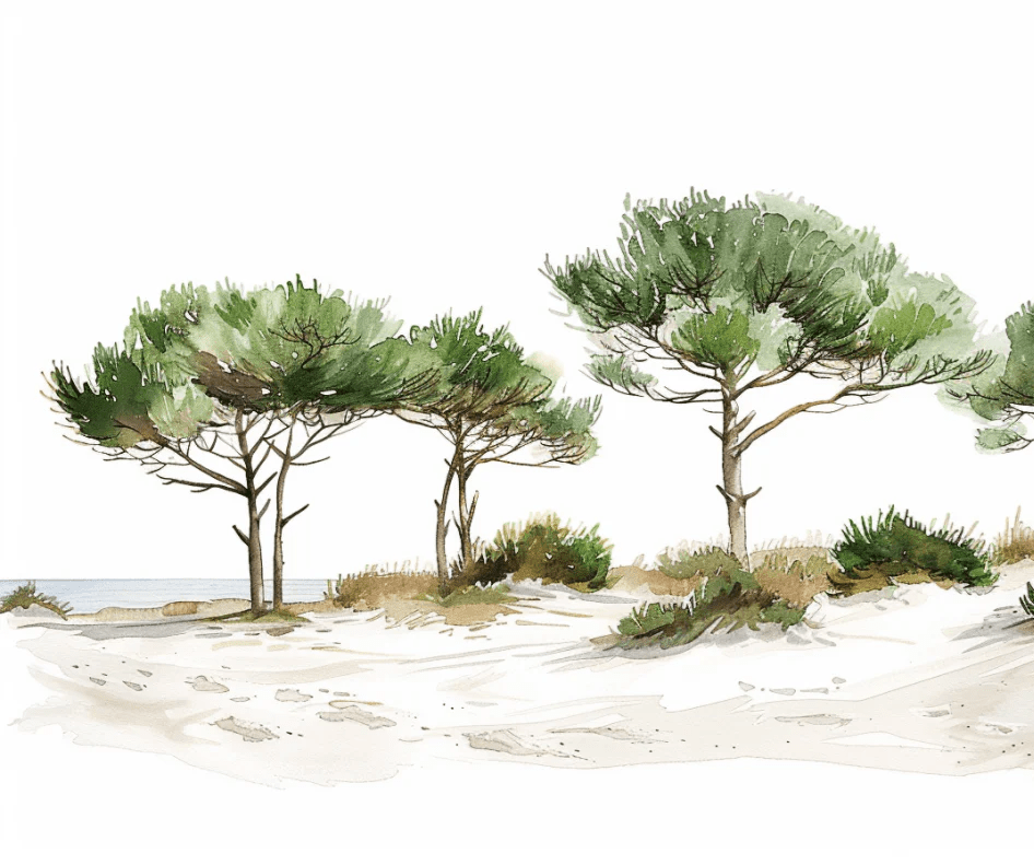 Les Pins de la Plage : Évasion Naturelle - Illulart: Papier peint panoramique