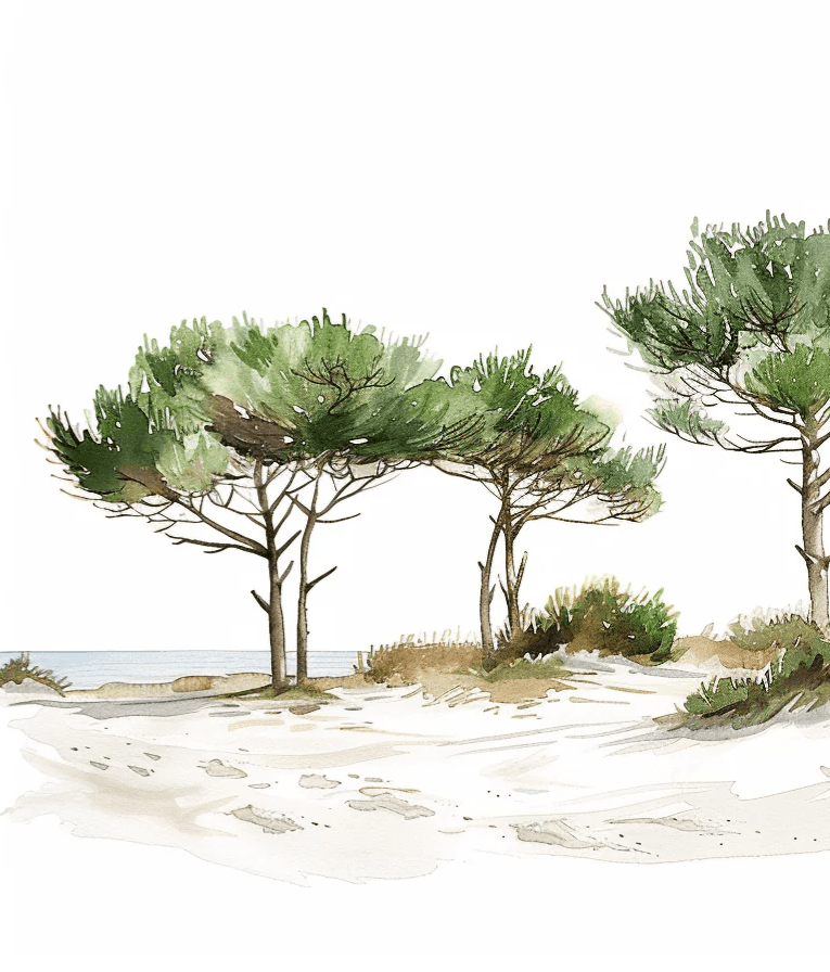 Les Pins de la Plage : Évasion Naturelle