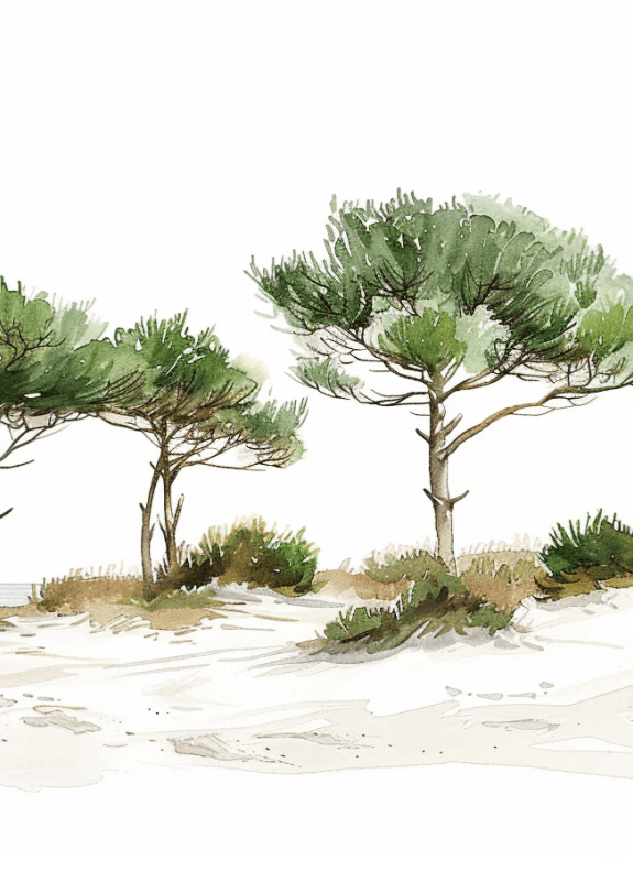 Les Pins de la Plage : Évasion Naturelle - Illulart: Papier peint panoramique