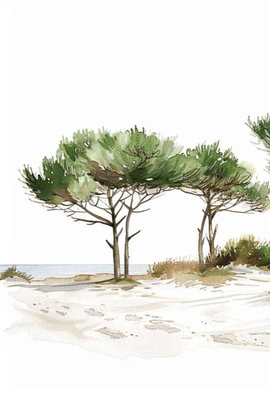 Les Pins de la Plage : Évasion Naturelle - Illulart: Papier peint panoramique