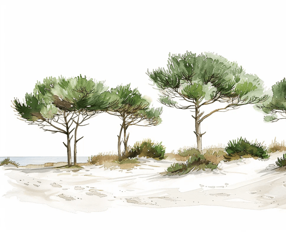 Les Pins de la Plage : Évasion Naturelle - Illulart: Papier peint panoramique