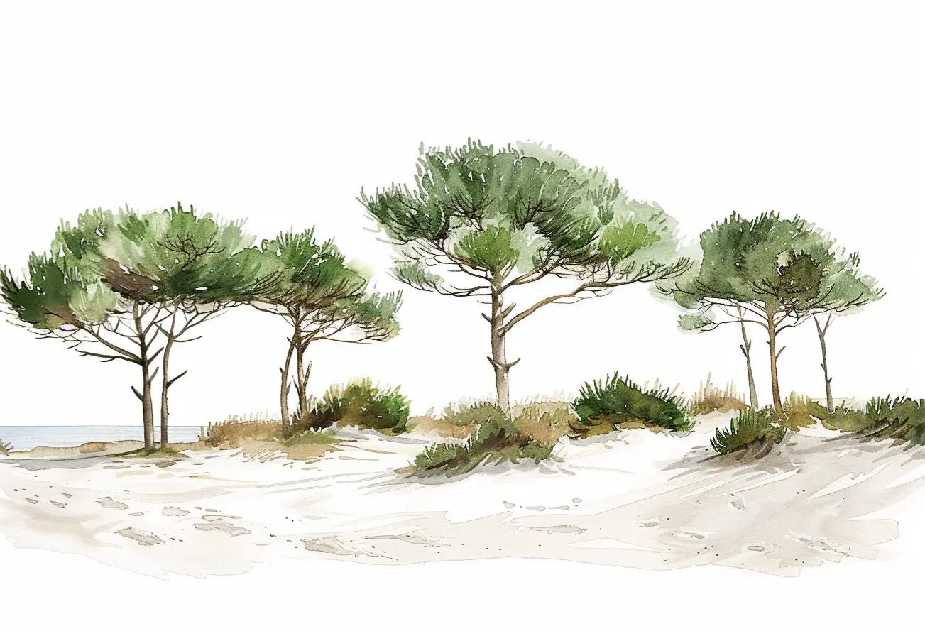 Les Pins de la Plage : Évasion Naturelle - Illulart: Papier peint panoramique