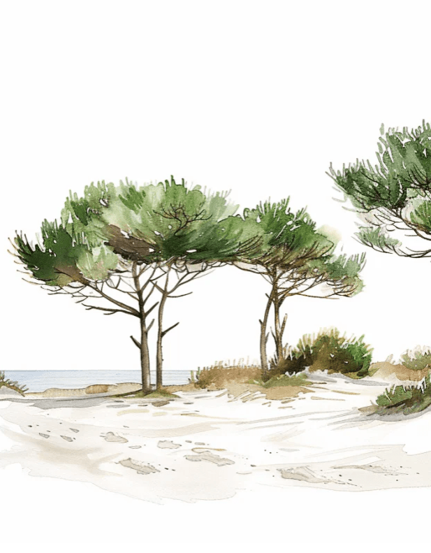 Les Pins de la Plage : Évasion Naturelle - Illulart: Papier peint panoramique