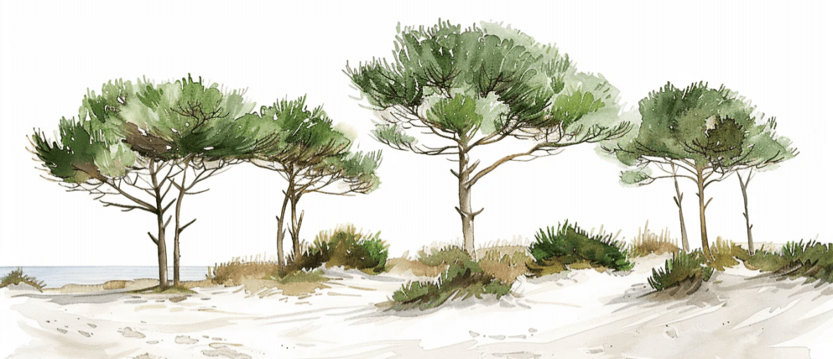 Les Pins de la Plage : Évasion Naturelle - Illulart: Papier peint panoramique