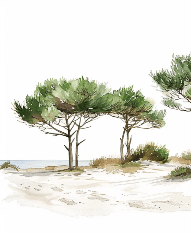 Les Pins de la Plage : Évasion Naturelle - Illulart: Papier peint panoramique