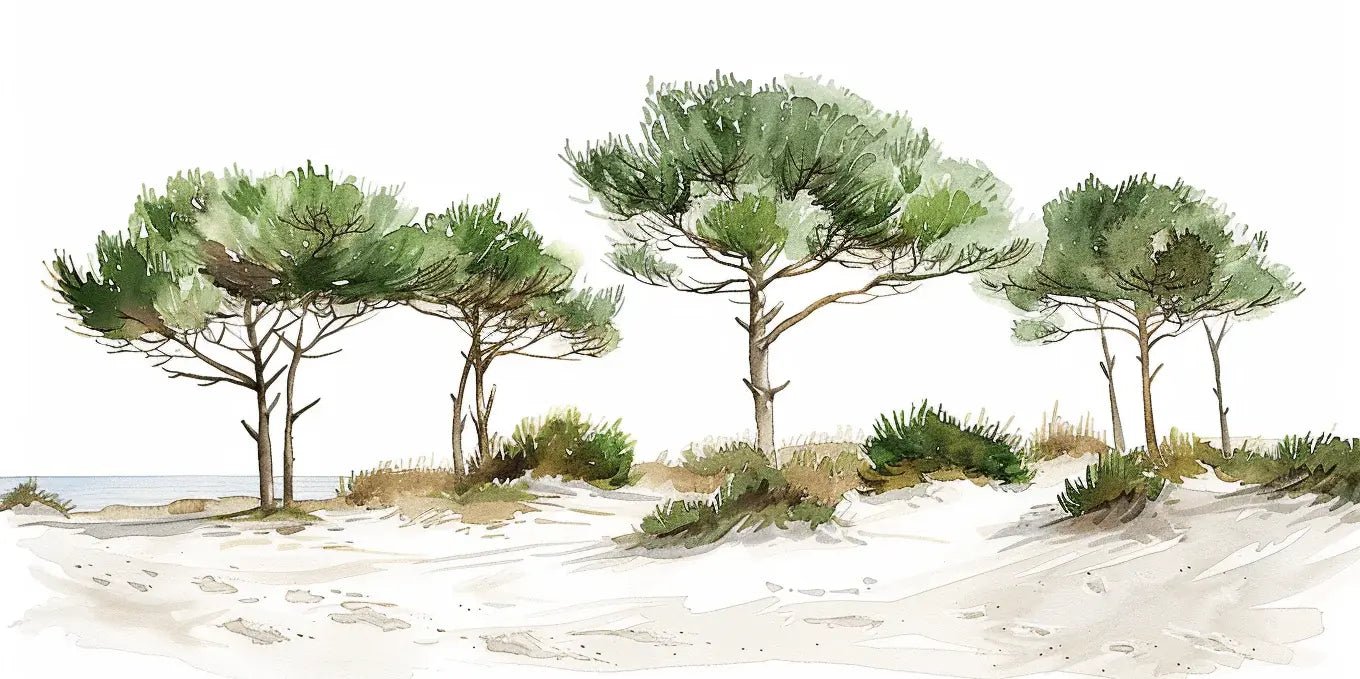 Les Pins de la Plage : Évasion Naturelle - Illulart: Papier peint panoramique