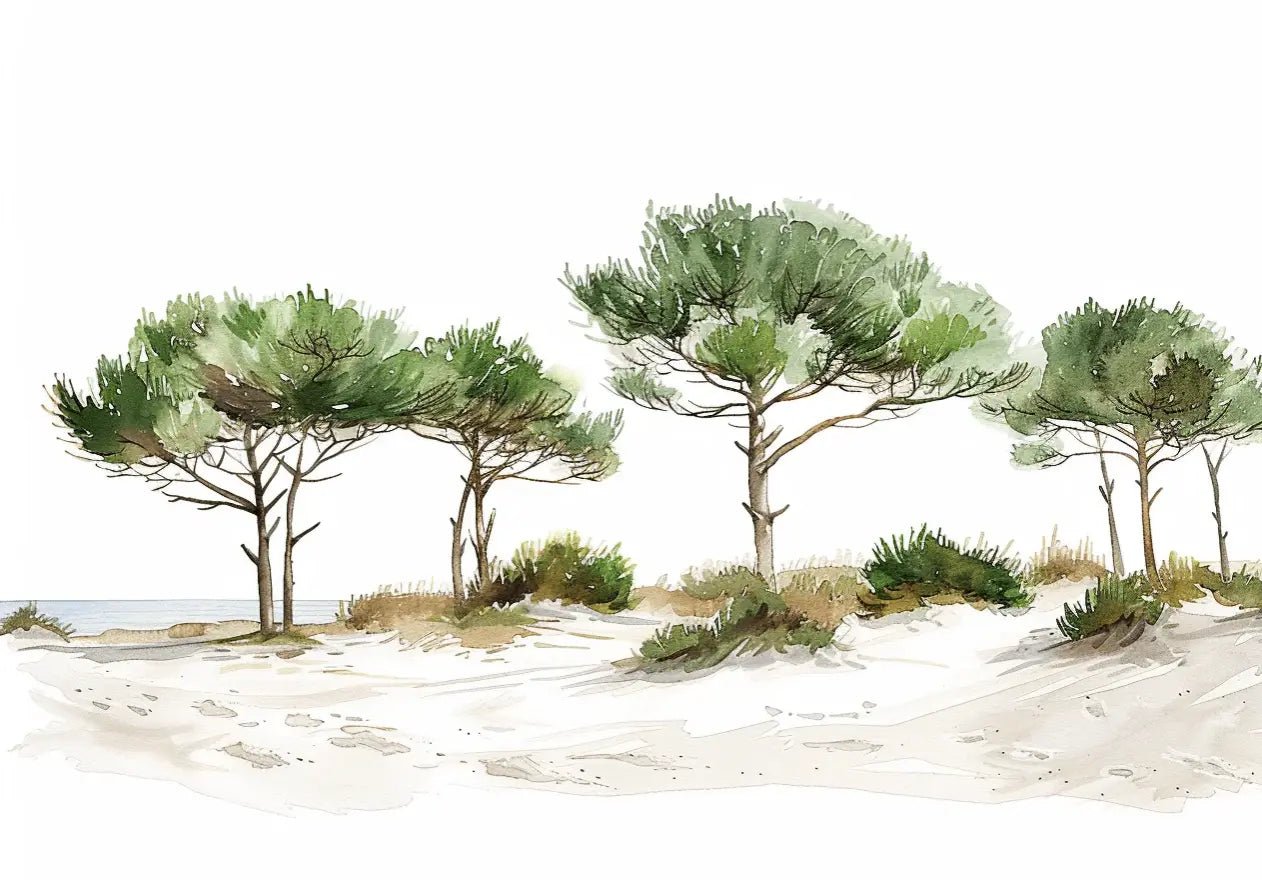 Les Pins de la Plage : Évasion Naturelle
