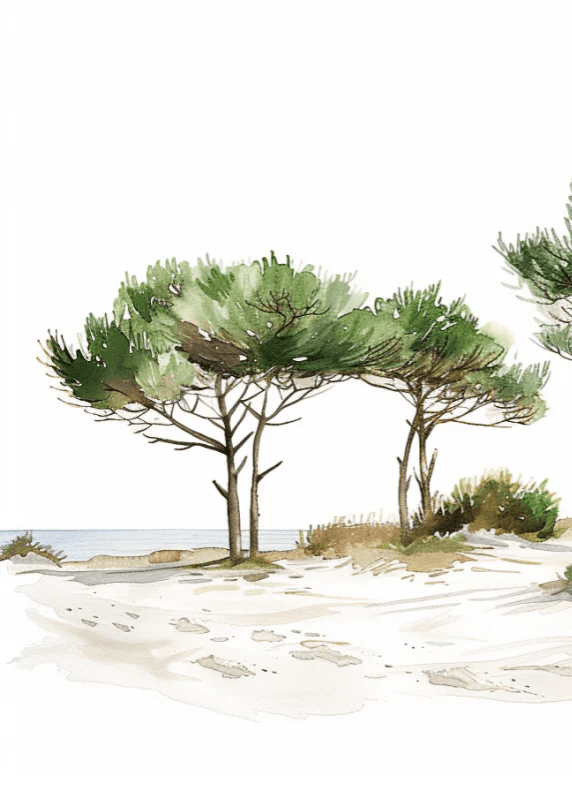 Les Pins de la Plage : Évasion Naturelle - Illulart: Papier peint panoramique